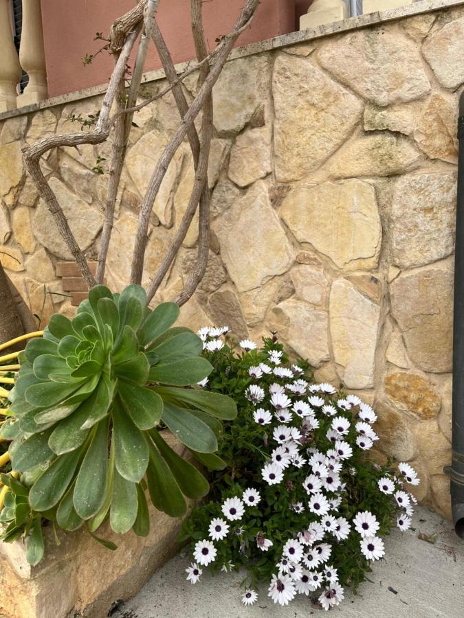 B&B Villa Regina Santa Domenica  Exteriör bild